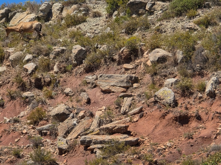 8 Bedroom Property for Sale in Bethlehem Rural Free State